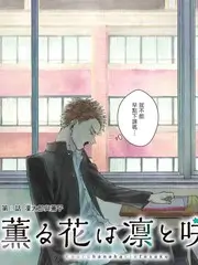 声生不息·夏 综艺